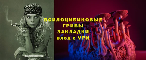 круглые Белокуриха