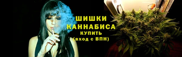 крисы Белоозёрский