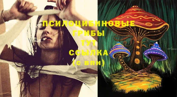 МДПВ Богданович