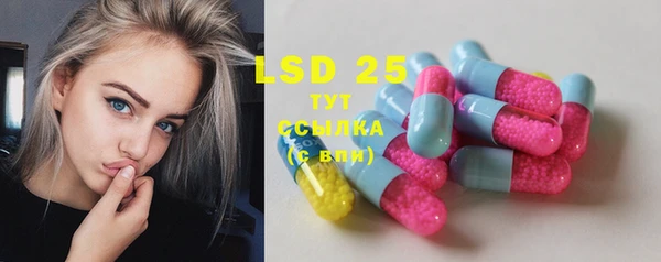 таблы Богородицк