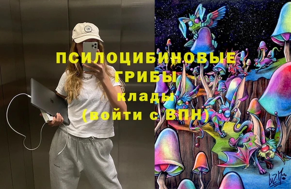 крисы Белоозёрский