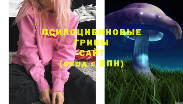 круглые Белокуриха